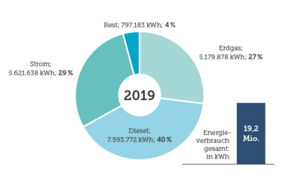 Energieverbrauch 2019 nach Brennstoffen im Kreisdiagramm