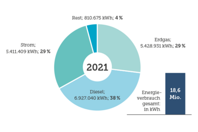 Energieverbrauch 2021 nach Brennstoffen im Kreisdiagramm