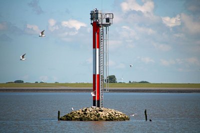 Neues Richtfeuer im Hafen Norddeich von Möwen umflogen