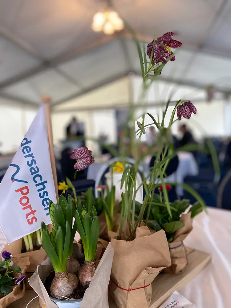 Frühlingsblumen in Packpapier als Tischdekoration in einem Festzelt, darunter Schachbrettblumen, Hyazinthen und Narzissen, daneben ein Fähnchen von Niedersachsen Ports.